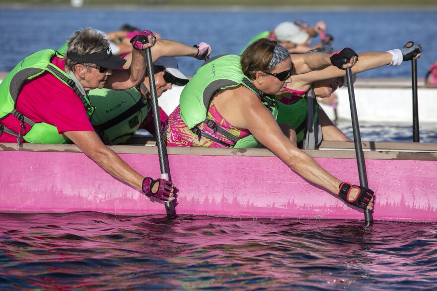 Women in a pink dragon boat lean into their oar strokes during practice.