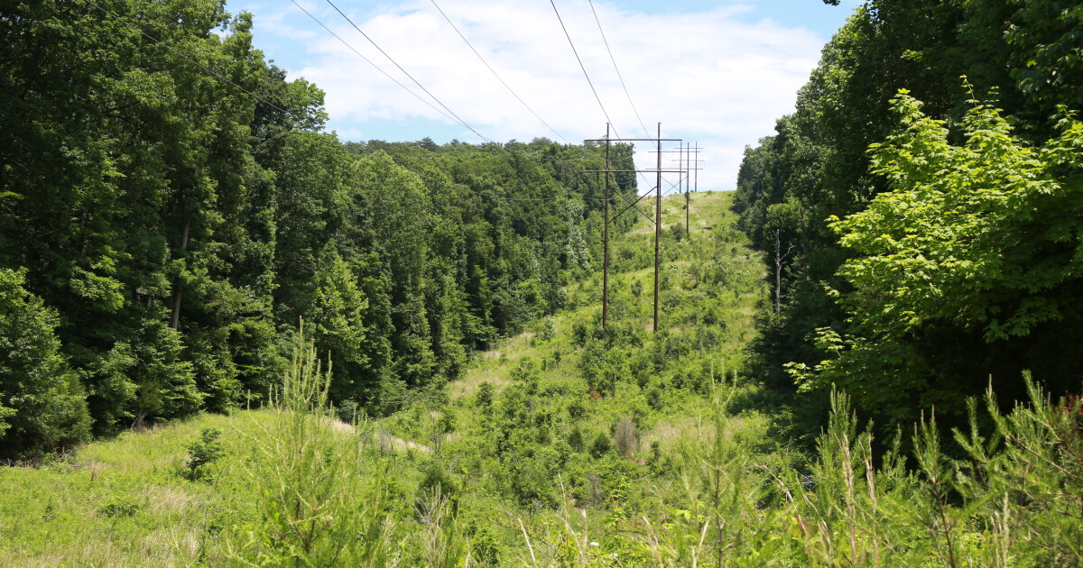 Beshear Wants To Expand Complaint Over LG&E Bullitt County Pipeline