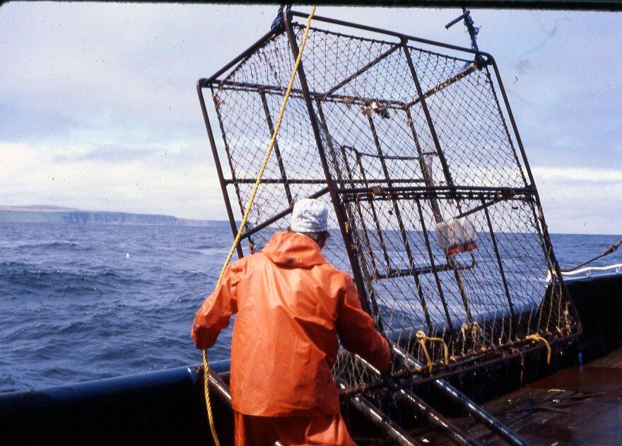 Crab trap