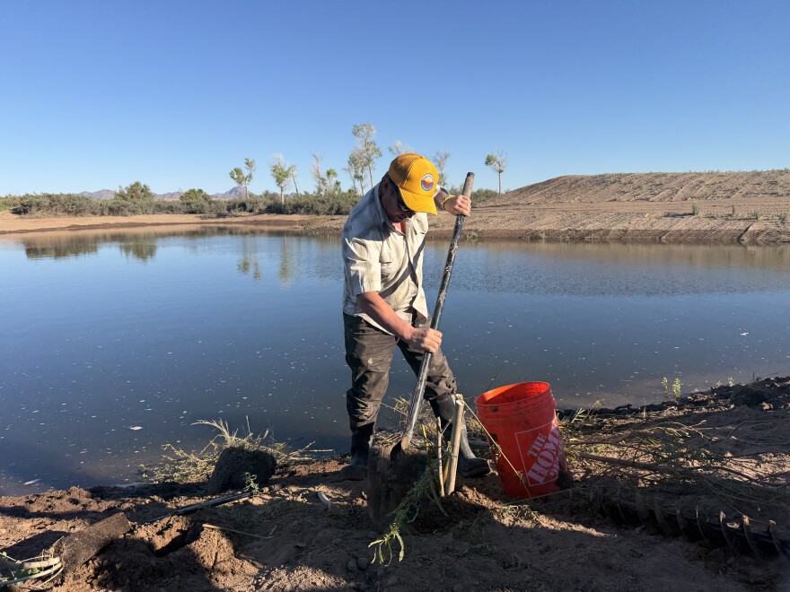 Fred Phillips demonstrates tree-planting techniques during a hands-on restoration workshop at the Cocopah North Reservation on March 12, 2026.