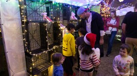 A man and children look at stuffed animals which are inside crates set up as shelves with lights around them. 