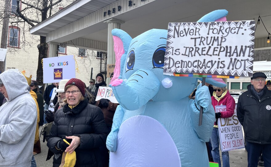 A protestor dressed as an elephant joined No Kings Day in Honesdale.