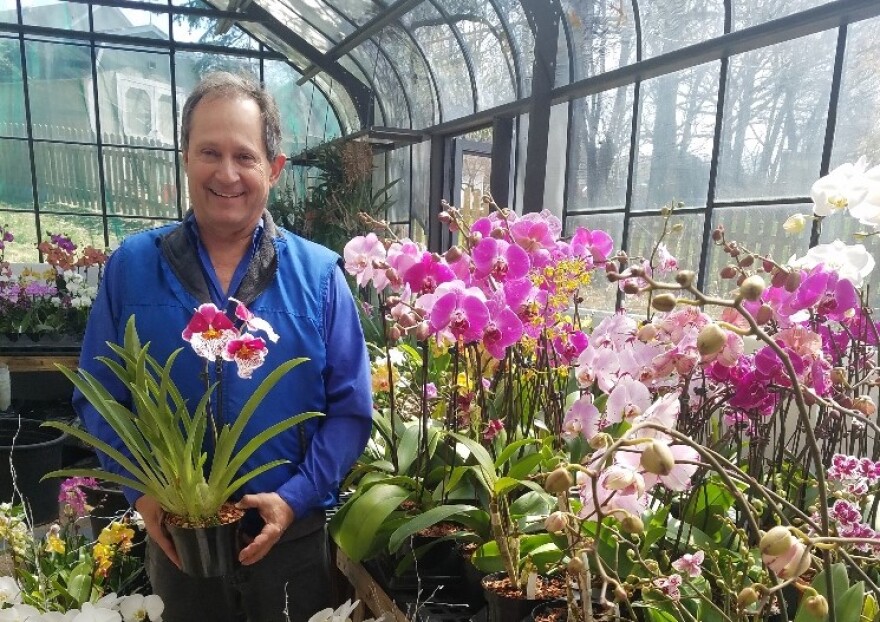 After A Fire Destroyed 7 000 Of His Plants Kansas City S Orchid Grower Comes Out Of His Cave Kcur 89 3 Npr In Kansas City Local News Entertainment And Podcasts