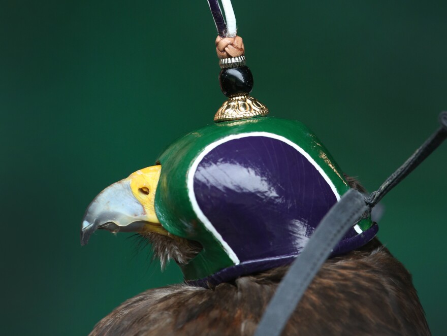Rufus wears his special purple, green and white Dutch-style Wimbledon hood.