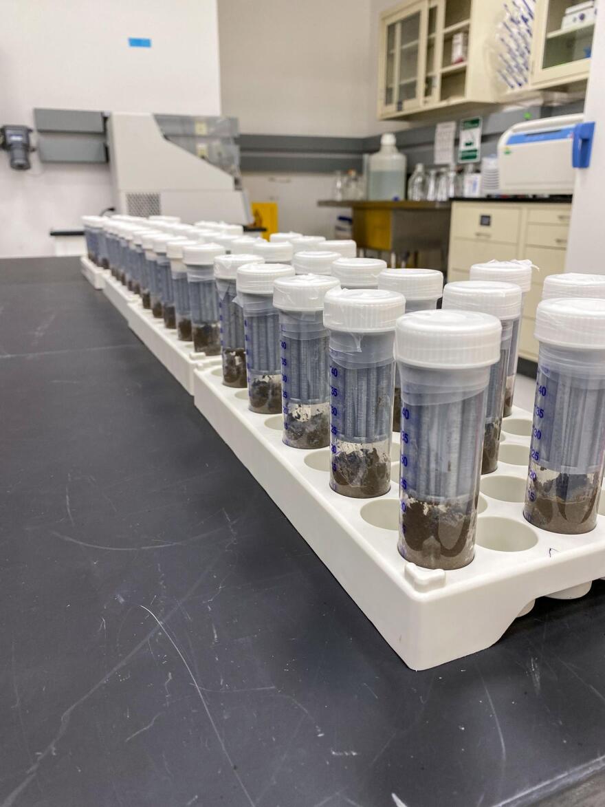 A rack of tubes contain different cultures of bacteria to be added to sterile soil for the Dynamics of the Microbiome in Space (DynaMoS) experiments. 