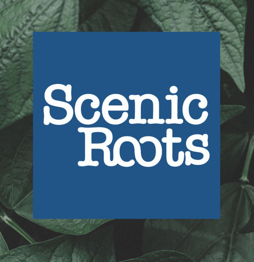 Scenic Roots - Tues 7/07/20