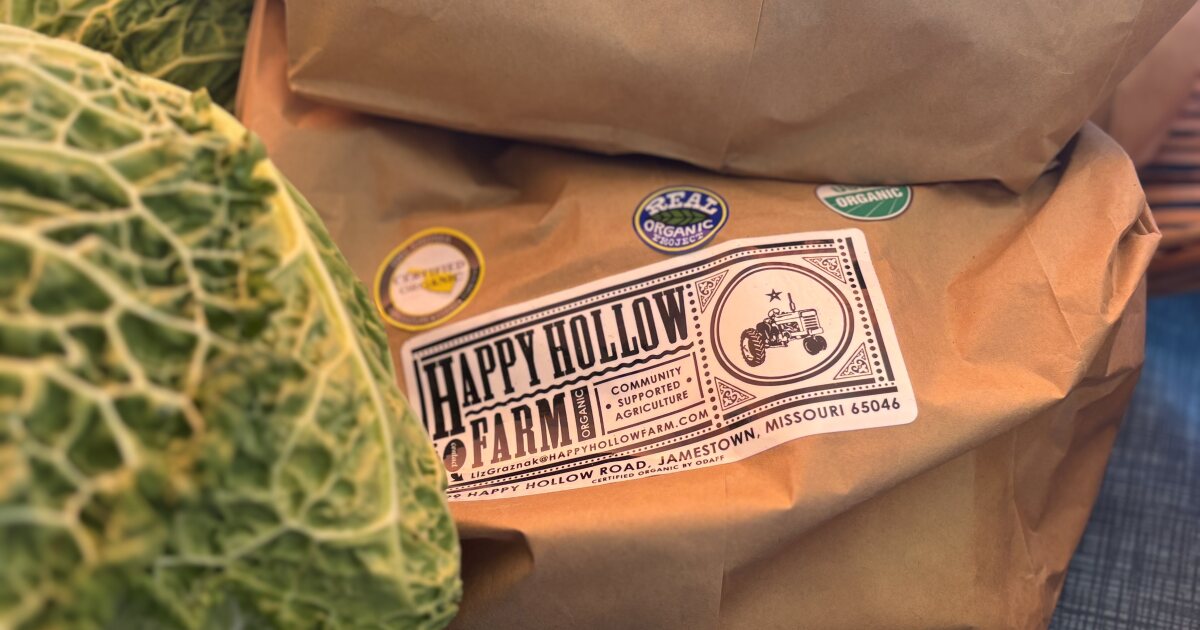 Farm workshop tackles labor shortages and efficient production