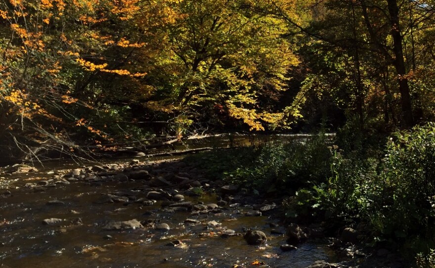 Nature of the state park surrounds the flowing  Pixley Falls Creek.