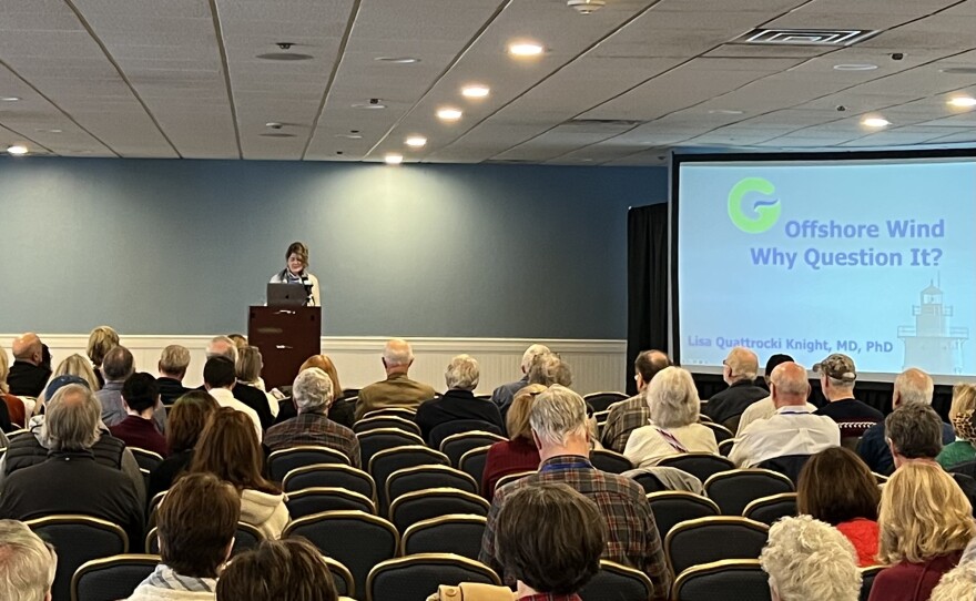 Lisa Quattrocki Knight, cofounder and president of Green Oceans, spoke at the "Close to the Wind" conference Saturday in Hyannis.