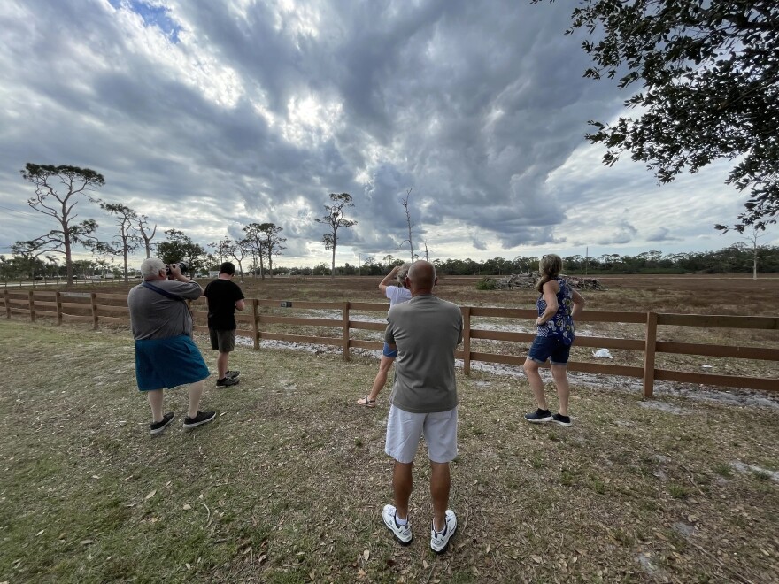 Visitors to the eagle nest on Bayshore Road in North Fort Myers watch M15 feed his two eaglets Sunday afternoon, Feb. 5, 2023. Harriett remains missing.