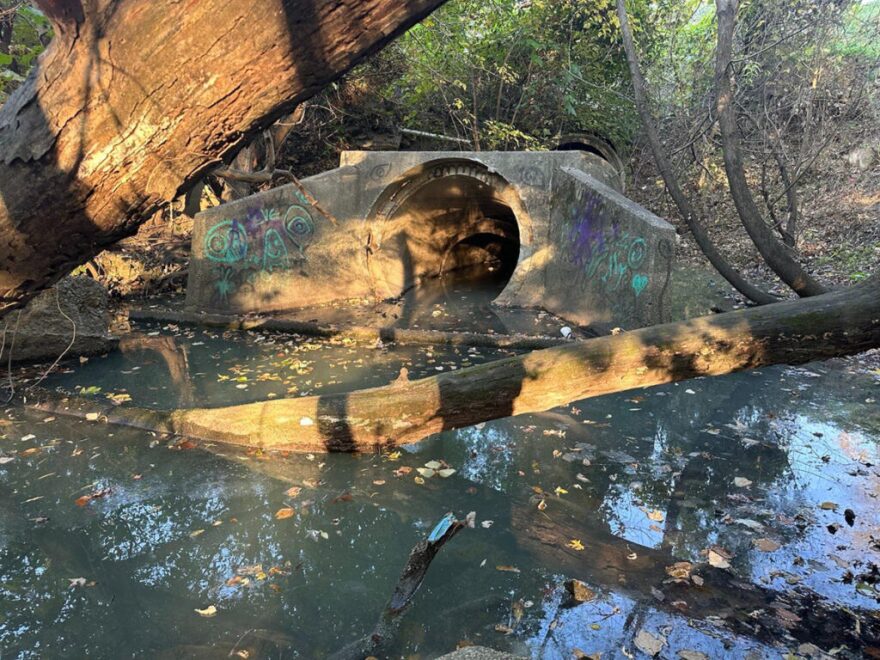 Neuse Riverkeeper Samantha Krop determined the likely source as a large stormwater outfall from the city, upstream from the testing site.
