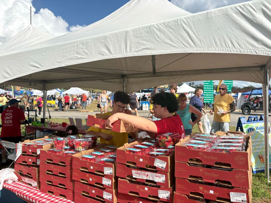 Volunteers sell cartons of strawberries during the 12th annual Habitat for Humanity Ocala Strawberry Festival. Organizers said proceeds from the event help fund home construction for local families in need.