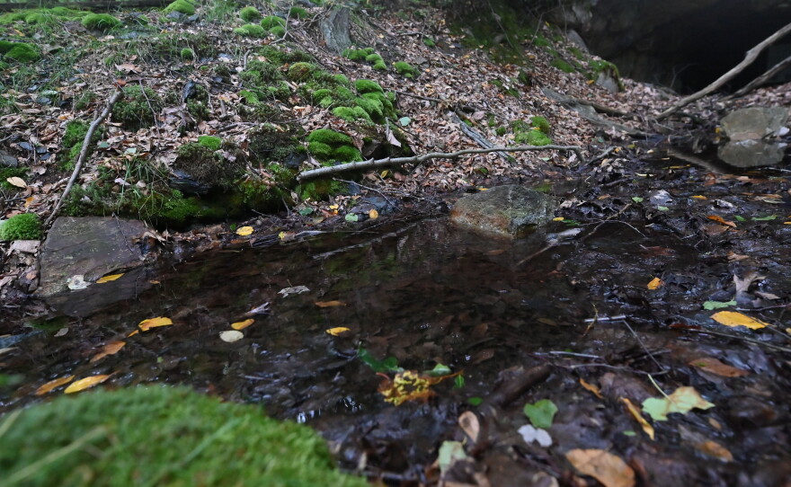 Polluted water from the leftover coal mines trickles out at the lowest point on State Game Lands 260.