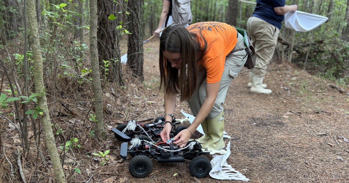 Ticks are taking over in Virginia. Could ODU's 'tick robot' help?
