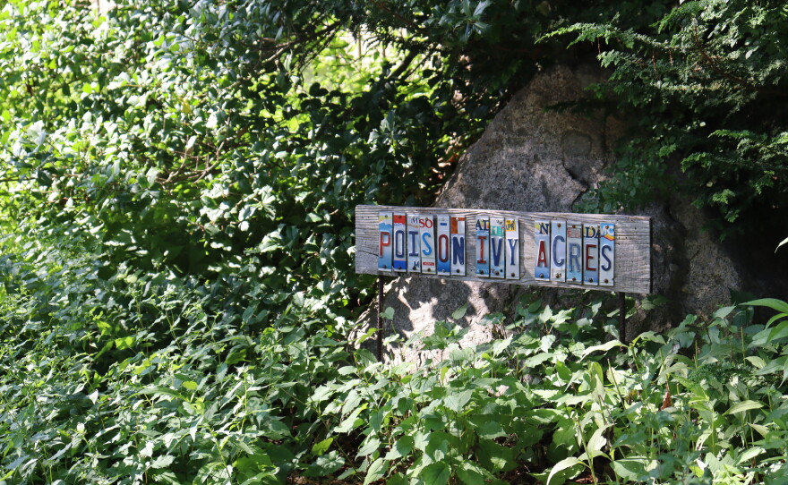 Photos of the home garden of CAI's The Garden Lady, C.L. Fornari 