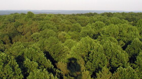 Looking east over the Charles C. Deam Wilderness Area of the Hoosier National Forest from the Hickory Ridge Fire Tower.