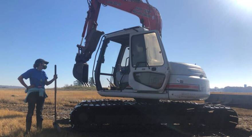 Wenley Ferguson, director of habitat restoration for Save the Bay in Rhode Island, stands by the excavator on the Little Bay salt marsh in Fairhaven. It's one of several sites where a salt marsh restoration technique called "runneling" is being piloted.