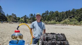 A man stands next to a rock covered in seaweed and a tank with seaweed growing in it.