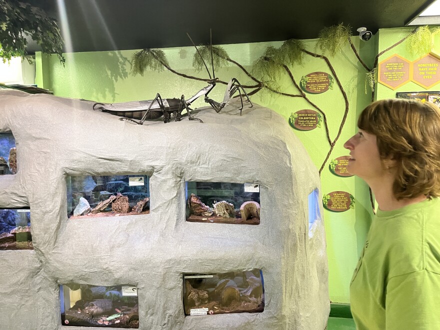 Cindy Roach is the curator at the Grand Traverse Butterfly House and Bug Zoo.