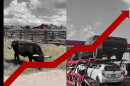 A red line goes up, crossing over a picture of cattle grazing and cars on a big rig truck