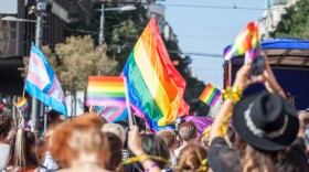 Picture of a crowd of people holding and raising rainbow flags, symbol of the homosexual struggle, during a gay demonstration. 