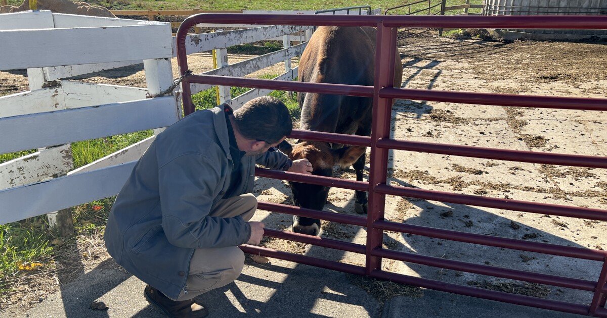 Some Ohio lawmakers push to legalize raw milk sales. But is it safe?