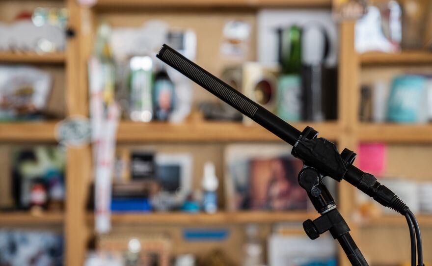 The somewhat (ahem) iconic Sennheiser MKH 418-S.
