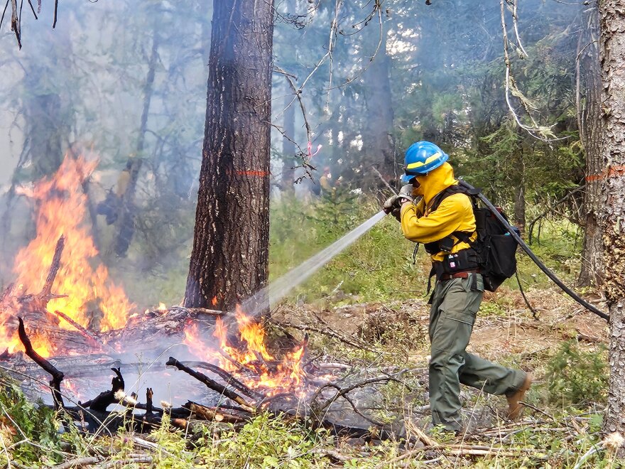 A team member waters certain areas consumed by fire during a prescribed fire in the Rainwater Wildlife Area. This is part of the process to ensure the flames are under control. (Credit: Johanna Bejarano / NWPB)