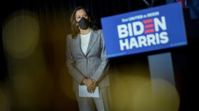 Presumptive Democratic vice presidential nominee, U.S. Sen. Kamala Harris listens as presumptive Democratic presidential nominee former Vice President Joe Biden speaks following a coronavirus briefing with health experts at the Hotel DuPont in Wilmington, Delaware.