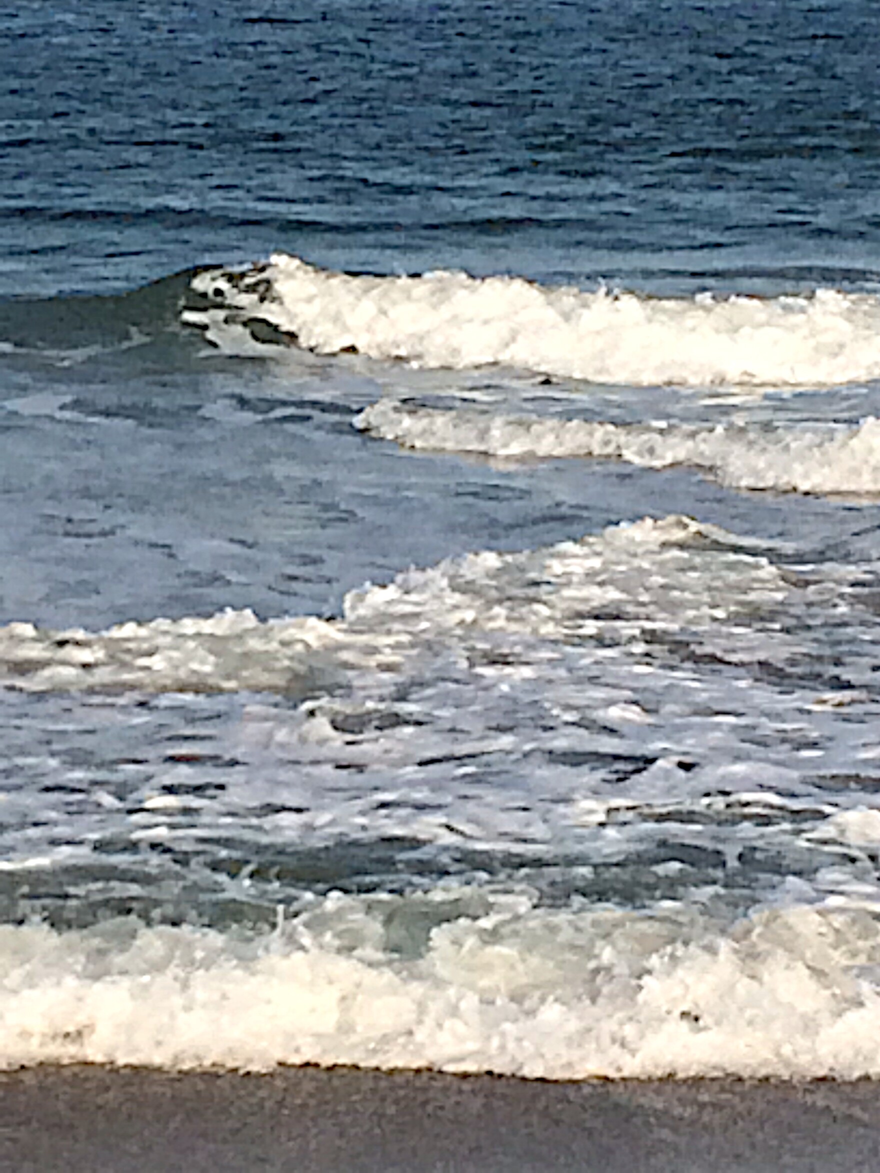 Flawed Flood Maps Hike Insurance Rates for OC Property Owners