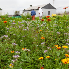 Photos courtesy of The New Garden Society; all rights reserved. Individual photographer credits in image captions.