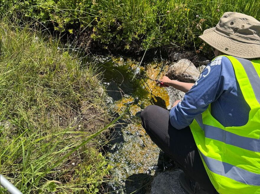 Lead author Beryl Rappaport collecting samples of Incendiamoeba cascadensis in California’s Lassen Volcanic National Park. The organism’s name means “Fire amoeba coming from the cascades.” California’s Lassen Volcanic National Park is the southernmost active volcanic region in the Cascade Range and includes Lassen Peak, the world’s largest plug dome volcano.