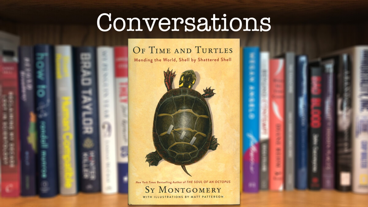 "Of Time and Turtles: Mending the World, Shell by Shattered Shell" - Vimarsana News