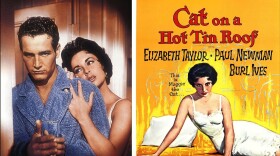 Cat On A Hot Tin Roof 
