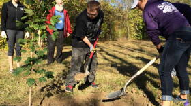 Triston (c) works with his team to fill in the soil around the sugar maple tree they just planted.