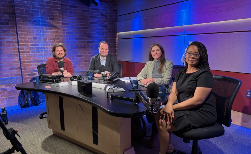 This week's panel for The Rundown includes Aprell May Munford, reporter for the Springfield Republican; former state senator and senior counsel at WilmerHale, Eric Lesser; and Dave Eisenstadter, state editor for MassLive.