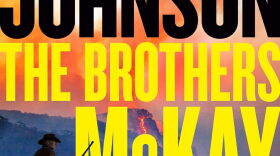 The book cover for 'The Brothers McKay'