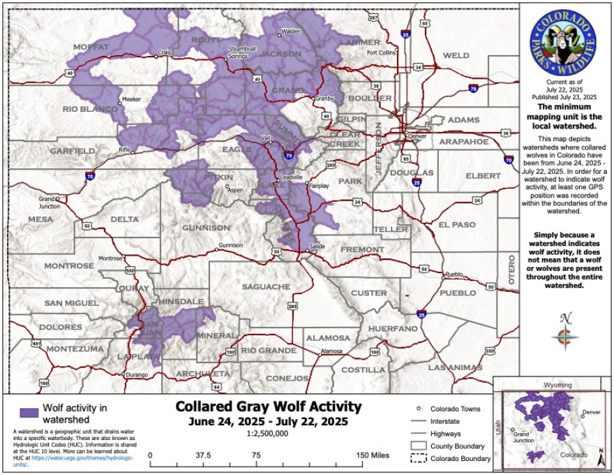 This map compares wolf activity between July and June 2025. As Colorado's gray wolf population increases with four new groups of pups, the reintroduced animals continue to stick to familiar watersheds across the Western Slope.