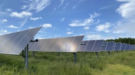 A Dominion Energy solar farm in Sussex County. (Photo by Katherine Hafner)