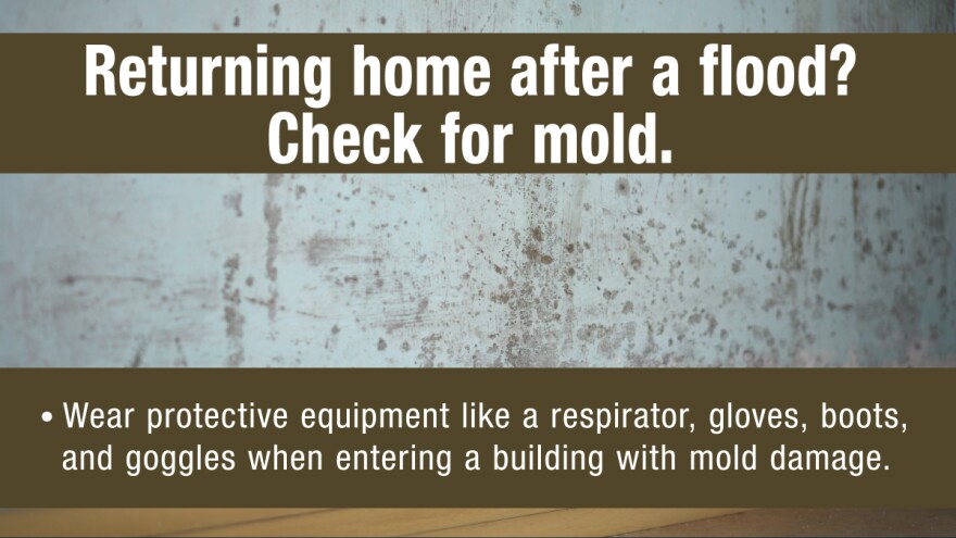 graphic explains the need to check for mold after a storm