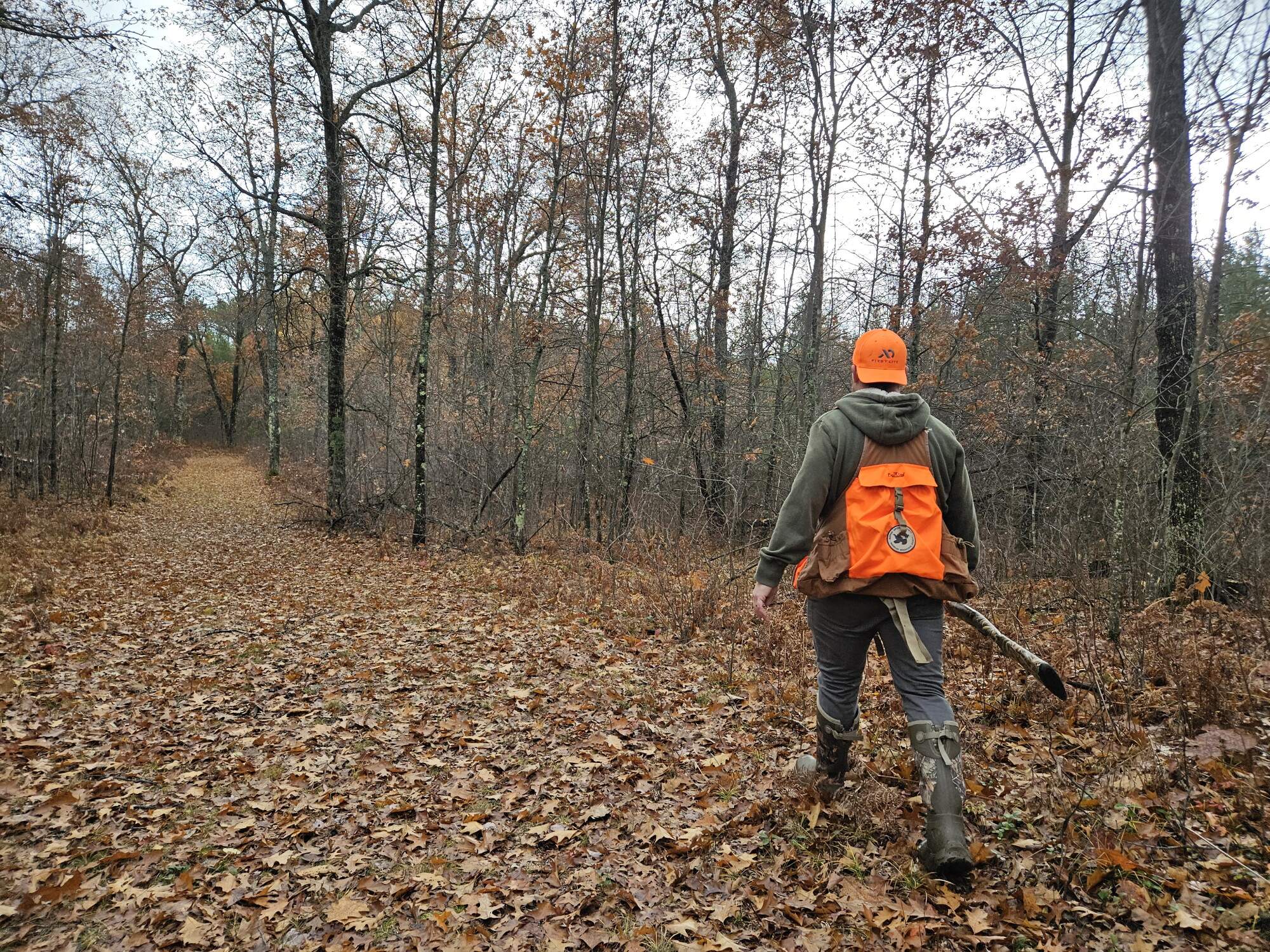 All Things Outdoors: Ruffed Grouse episode artwork