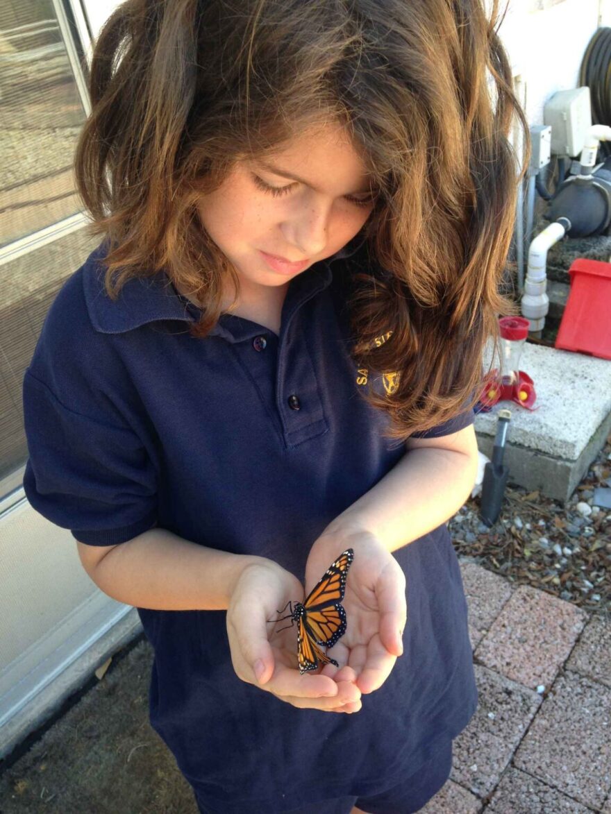Sophia’s passion for conservation and nature started at a young age. She remembers raising butterflies at 7 years old, and reading a field guide that shifted her interest to birds a few years later.