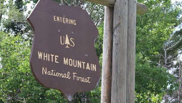 White Mountain National Forest sign in Easton, NH. Dan Tuohy photo / NHPR. NHPR.org