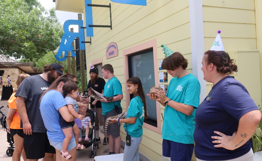 Volunteers hold animal ambassadors including a boa constrictor, a blue-tongued skink and baby armadillo, for visitors to meet and interact with on Zippity Zoo Day at the Abilene Zoo. Photo by Allison Diaz.