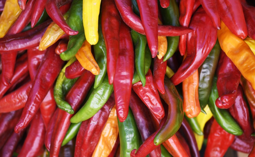 Colorful chiles hang in The Legend Brand booth last month at the annual Pueblo Chile and Frijoles Festival in Colorado.