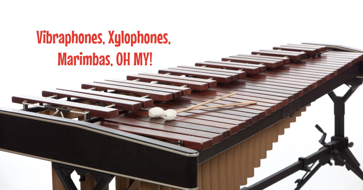 Vibraphones, Xylophones & Marimbas, OH MY! March 10, 2023