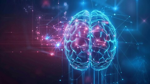 Illustration of a brain