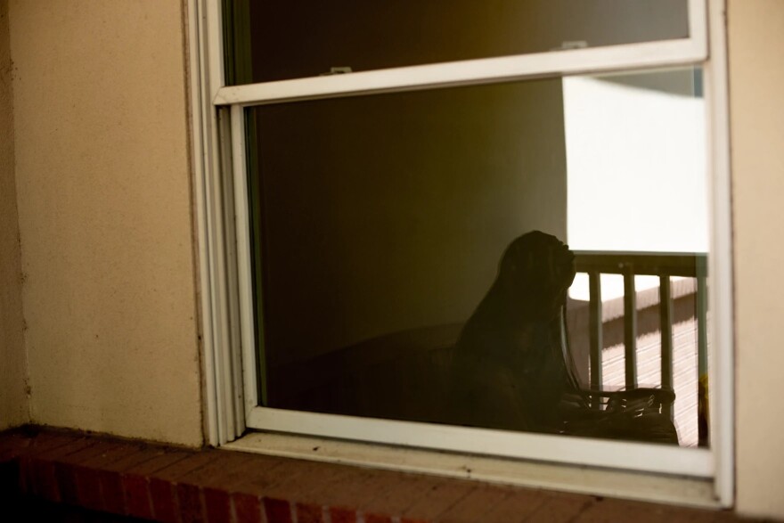 A window shows the shadowed reflection of a woman sitting on a couch, looking down.