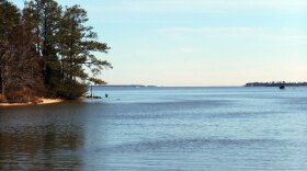 Wild Virginia wants DEQ to require removal of PFAS before treated water is discharged into the James