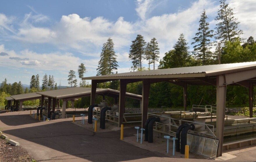  The Tonto Creek Hatchery.